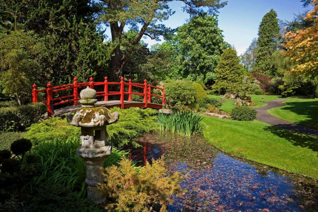 The Curragh Country House Accommodation Newbridge  Ngoại thất bức ảnh