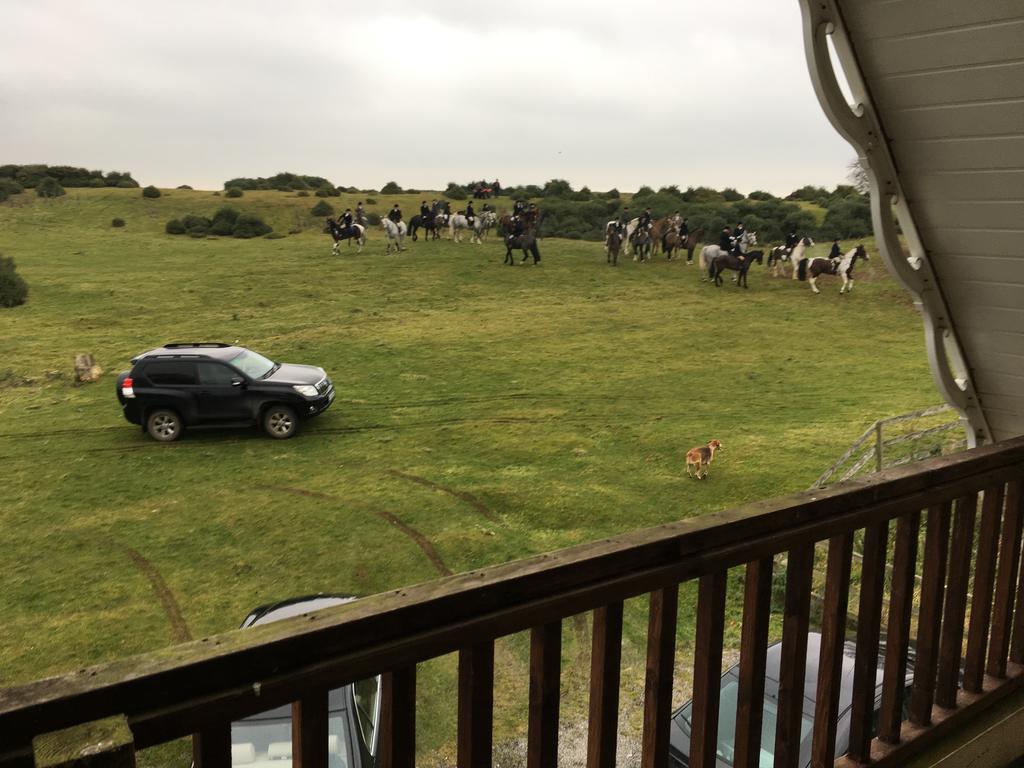 The Curragh Country House Accommodation Newbridge  Ngoại thất bức ảnh