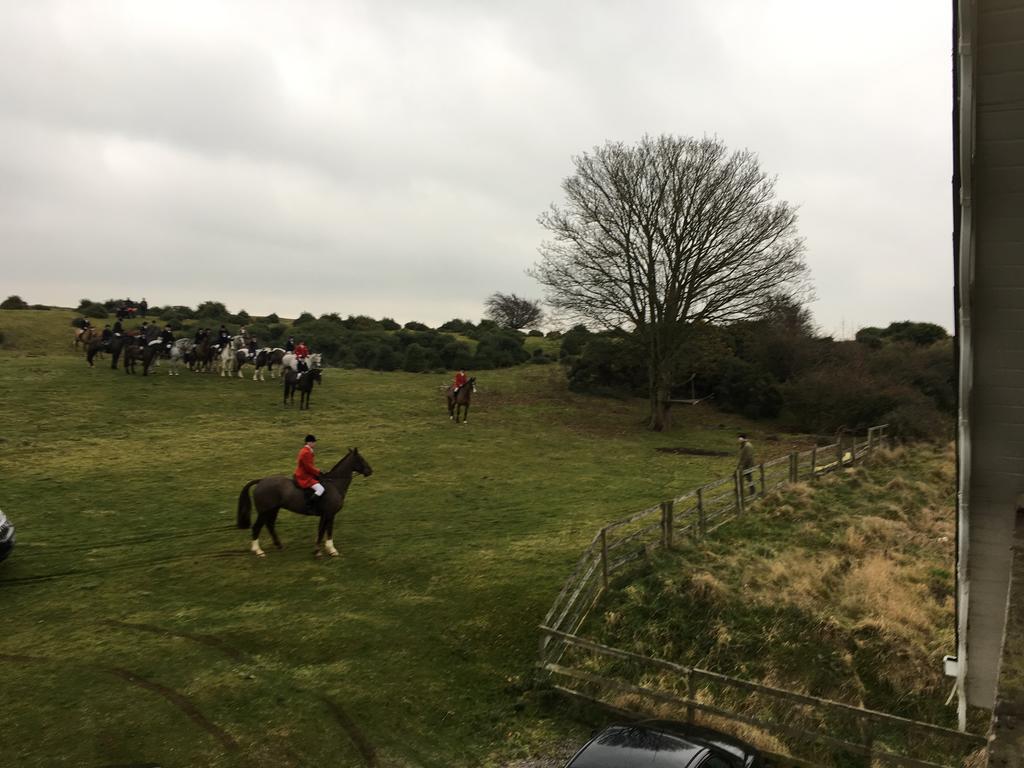 The Curragh Country House Accommodation Newbridge  Ngoại thất bức ảnh